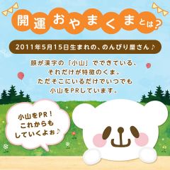 栃木県小山市　開運おやまくま家庭紙セット写真2